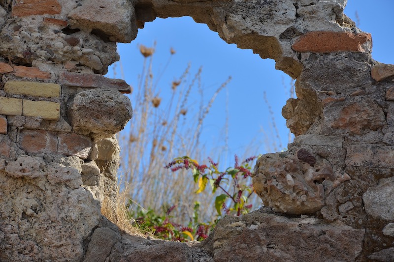 04 Aug 2021 Narrative Exposure Therapy With Refugee Clients