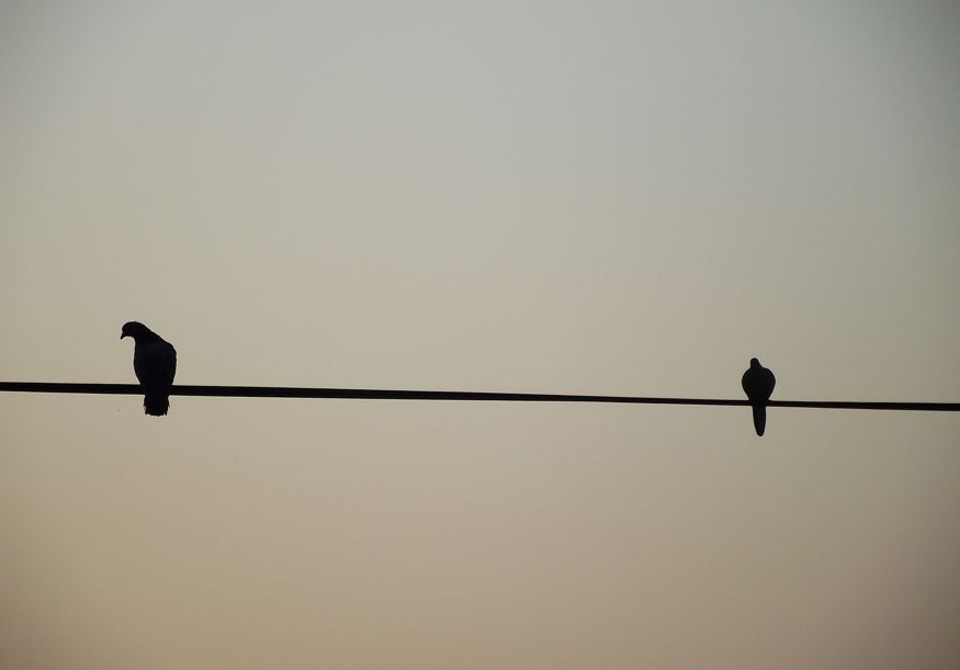 11 Jan Supporting Partners After A Suicide Attempt