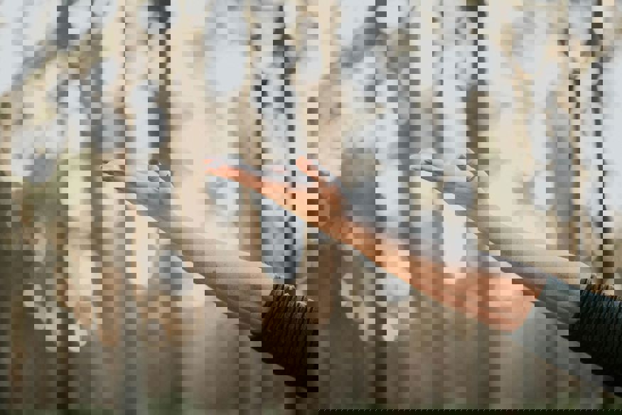 1 5 Natalie Grainger 8Ub5kfkwwkk Unsplash