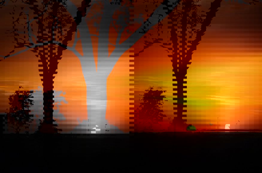 Nelson Santos Jr Puaipfh3fhg Unsplash