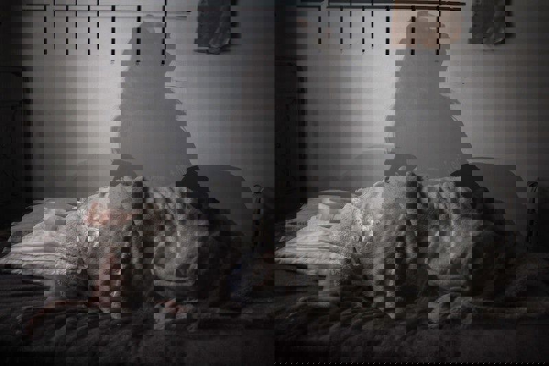 Megan Te Boekhorst 3Sn9mulx2ze Unsplash