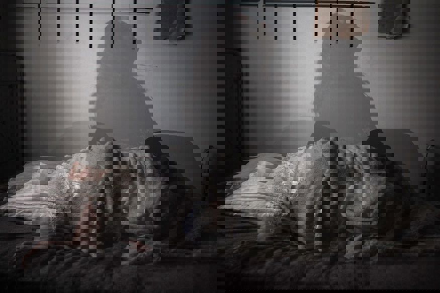 Megan Te Boekhorst 3Sn9mulx2ze Unsplash