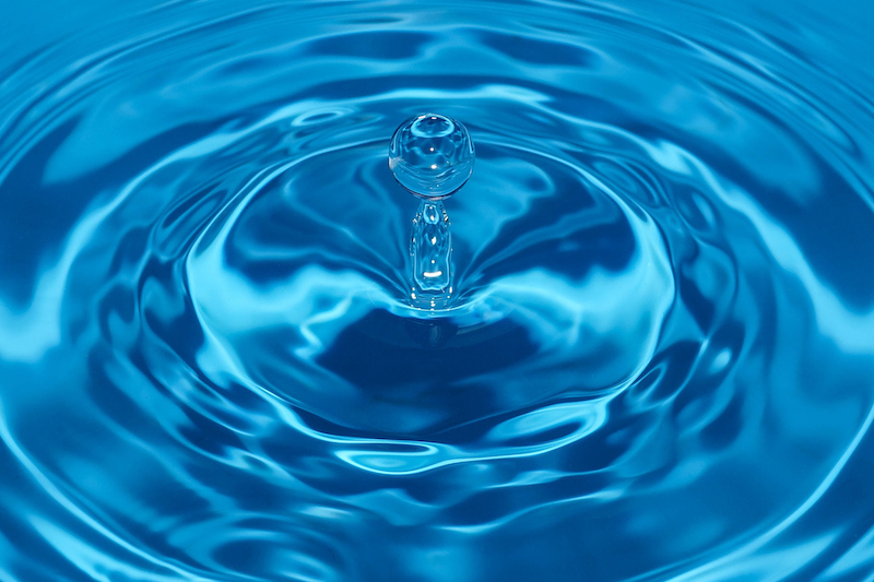 Blog Body Dysmorphia