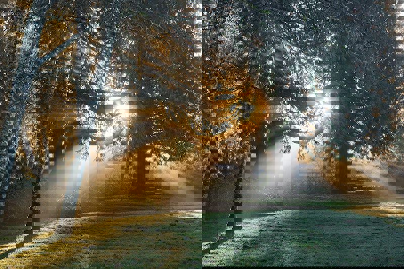 Darren Bockman Pn3z2ussiqw Unsplash