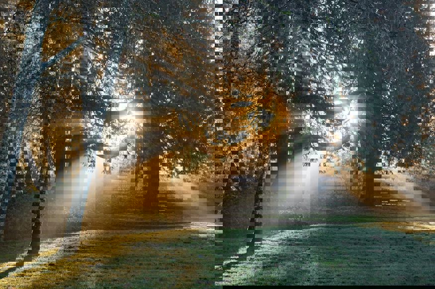 Darren Bockman Pn3z2ussiqw Unsplash