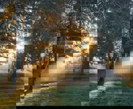 Darren Bockman Pn3z2ussiqw Unsplash