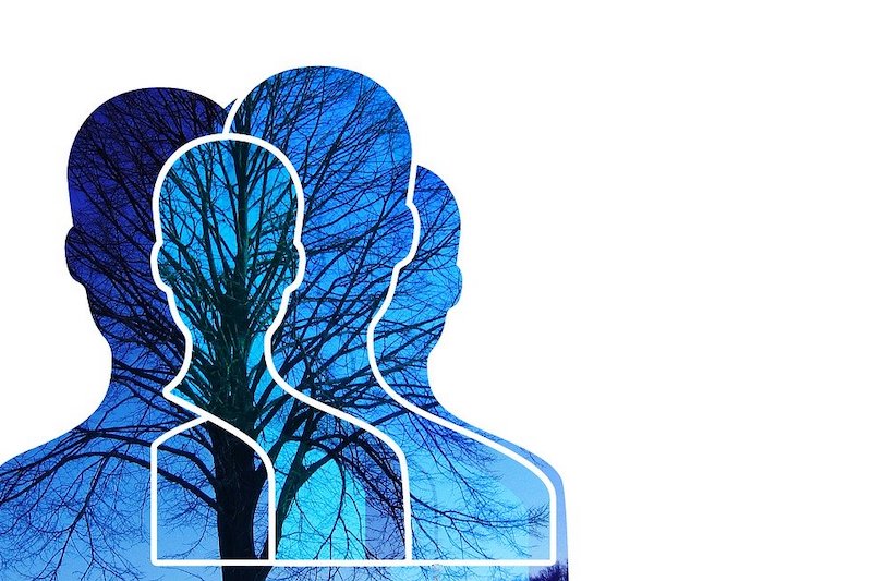 Perception 3110810 1