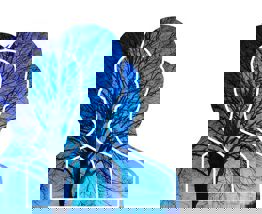 Perception 3110810 1