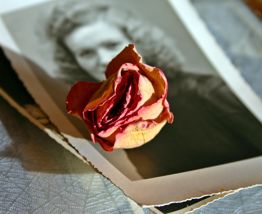 02 Nov The Legacy Of Broken Promises