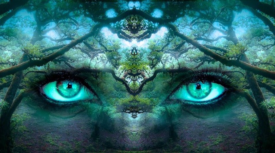 Dream Therapy Blog March 19