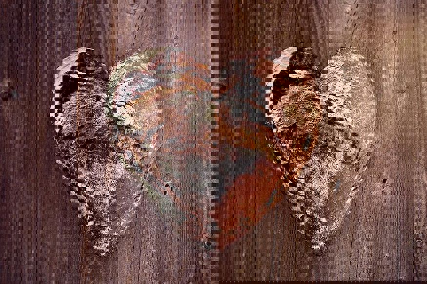 20 April 2021 Kitchen Therapy Working With Addiction