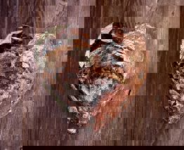 20 April 2021 Kitchen Therapy Working With Addiction