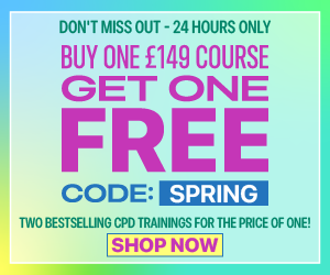 UK Bogo V3 300X250[1]