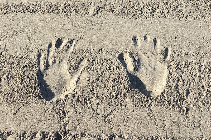 Sheetal Amin Blog Image Sheetal S Own  1