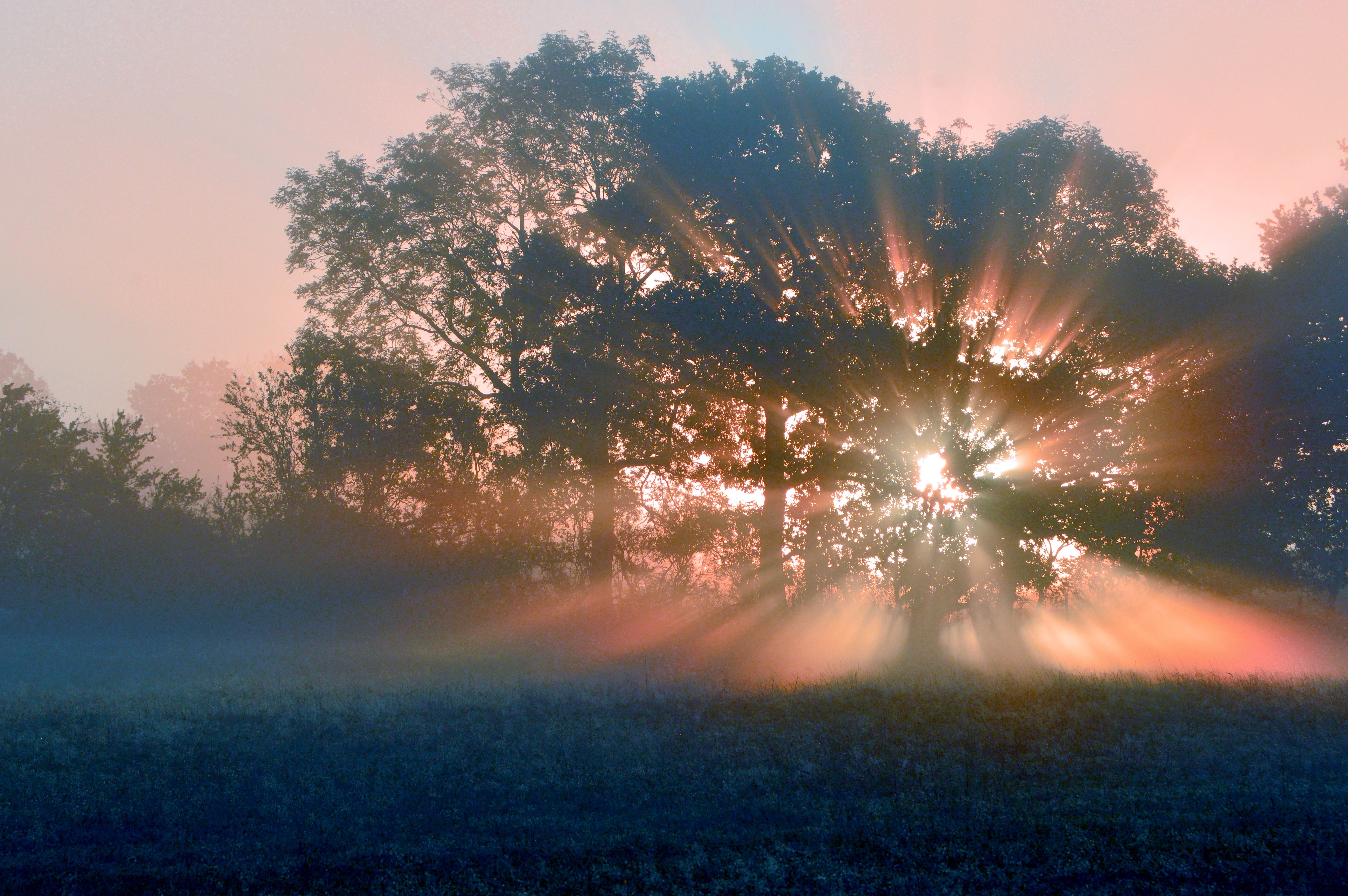 18 Oct 2021 The Menopause In Therapy